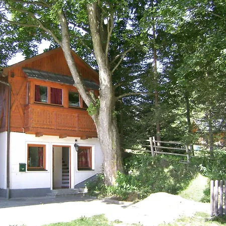 In Near Area Chalet Mariapfarr